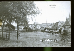 TERNEUZEN                   ( Pas De Virement De Banque ) - Terneuzen