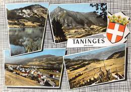 74-TANINGES- MULTIVUES- - Taninges