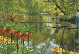 CPA PAYS BAS LISSE  Parc Floral De "Keukenhof" - Lisse