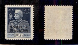 COLONIE - SOMALIA - 1926 - 1,25 Lire Giubileo (69) - Gomma Integra - Cert. AG (4.000) - Sonstige & Ohne Zuordnung