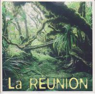 974 - ILE DE LA REUNION - LA FORET PRIMAIRE A SAINT PHILIPPE - Autres & Non Classés