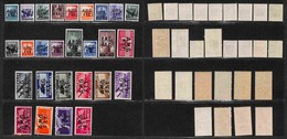 TRIESTE - ZONA A - 1947/1948 - Democratica (1/17+Aerea 1/6+ Espressi 1/4) - Emissione Completa - Gomma Integra (1.000) - Other & Unclassified