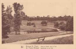 Woluwe-St-Pierre - Etang Du Bemel Dans Le Parc - Pas Circulé - Nels - TBE - St-Pieters-Woluwe - Woluwe-St-Pierre