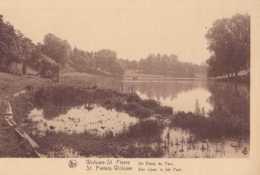 Woluwe-St-Pierre - Un Etang Du Parc - Pas Circulé - Nels - TBE - Woluwe-St-Pierre - St-Pieters-Woluwe