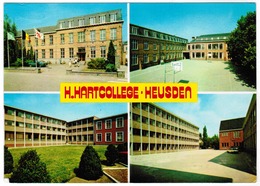 Heusden (Limburg) H Hartcollege (pk55464) - Heusden-Zolder