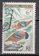 Saint Pierre Et Miquelon Oiseaux Sarcelles N°367 Oblitéré - Usados