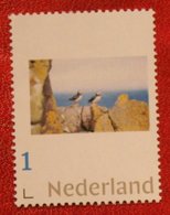 Bird Vogel Oiseau Pajaro Persoonlijke Postzegel POSTFRIS / MNH ** NEDERLAND / NIEDERLANDE - Timbres Personnalisés