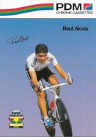 Cycliste: Raul Alcala, Equipe De Cyclisme Professionnel: Team PDM Concorde, Mexique 1990 - Sports