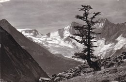 Saas Almagell, Almagelleralp, Alphubel, Täschhorn, Dom (pk56778) - Täsch