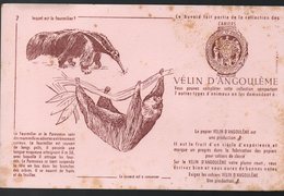 Buvard VELIN D'ANGOULEME N°7: Fourmilier Et Paresseux   (PPP10308) - Papeterie