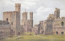 Postcard Carnarvon Castle Interior Signed A R Quinton My Ref  B12872 - Quinton, AR