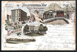 AK/CP Litho Elmshorn  Hotel  Holsteiner Hof    Gel./circ. 1901  Erhaltung/Cond.  2/2-   Nr. 00643 - Elmshorn