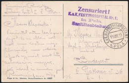 1915 Tábori Posta Képeslap ' K.u.k. FESTUNGSSPITAL Nr.1. In Pola Sanitätsabteilung' - Autres & Non Classés