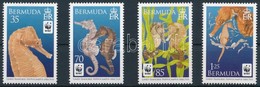 ** 2010 WWF: Tengeri Csikóhalak Sor Mi 1005-1008 - Andere & Zonder Classificatie