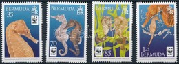 ** 2010 WWF: Tengeri Csikók Sor Mi 1005-1008 - Sonstige & Ohne Zuordnung