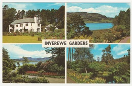 Inverewe Gardens Multiview. Inverewe House, Lily Pond, Primula Border - Ross & Cromarty