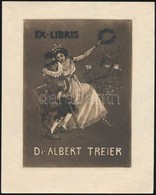 Jelzés Nélkül: Ex Libris Dr. Albert Treier, Klisé, Papír, 15,5×11,5 Cm - Altri & Non Classificati