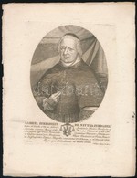 Szerdahelyi Gábor, (1742-1813) Bölcseleti és Teológiai Doktor, Besztercebányai Püspök Rézmetszetű Portréja. 15x19 Cm - Stampe & Incisioni