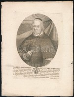 Szerdahelyi Gábor, (1742-1813) Bölcseleti és Teológiai Doktor, Besztercebányai Püspök Rézmetszetű Portréja. 15x19 Cm - Prints & Engravings