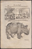 1557 Állatokat ábrázoló Metszetek Conrad Lycosthenes (1518 -- 1561) Prodigiorum Ac Ostentorum Chronicon, Quae Praeter Na - Stampe & Incisioni