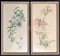 Növényeket ábrázoló Nyomatok, Fa Keretben, 2 Db, 29×14 Cm - Autres & Non Classés