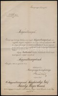 1880 Pozsonyvármegye Alispánjának Köszönő Levele Gróf Károlyi Lajosnak, A Lakosság Megsegélyezésére Adott Adományáért - Non Classificati