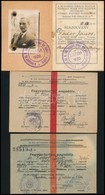 1930-1943 Budapesti Kir. M. Pázmány Péter Tudományegyetem Orvoskari 'Csaba' Bajtársi Egyesületének Fényképes Igazolványa - Unclassified