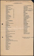 Cca 1938-1940 Felvidéki Visszacsatolt Vasútállomások Jegyzéke, 1 Gépelt Oldal - Non Classificati