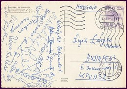 1974 Az MTK Játékosainak Aláírásai Levelezőlapon (Farkas, Tulipán, Bócsa, Stb.) - Otros & Sin Clasificación