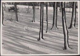 1930-1935 Kinszki Imre (1901-1945): 'Winter Design'. Vintage Fotó, Hátoldalán Szerzői Pecséttel Jelzett, Feliratozott, 1 - Altri & Non Classificati