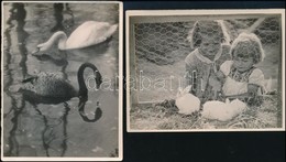 Cca 1939 Dulovits Jenő (1903-1972) Budapesti Fotóművész Hagyatékából 2 Db Pecséttel Jelzett Vintage Fotó, 12x9 Cm - Altri & Non Classificati