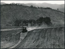 Cca 1976 Gebhardt György (1910-1993) 2 Db Jelzés Nélküli Vintage Fotóművészeti Alkotása, A Szerző Hagyatékából, 17,5x23, - Other & Unclassified