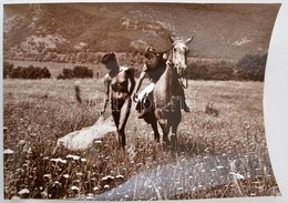 Cca 1988 Menesdorfer Lajos (1941-2005) Budapesti Fotóművész Hagyatékából, Pecséttel Jelzett, Vintage Fotóművészeti Alkot - Otros & Sin Clasificación