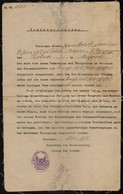 Hajós Okmányok: 1918 Révgőzős Vezetői Igazolvány, 1919 Délnémet Dunagőzhajózási Társaság Igazolvány, Bajor Hajózási Igaz - Altri & Non Classificati