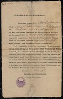 Hajós Okmányok: 1918 Révgőzős Vezetői Igazolvány, 1919 Délnémet Dunagőzhajózási Társaság Igazolvány, Bajor Hajózási Igaz - Autres & Non Classés