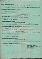 1919 Hadügyminisztériumi öt Nyelvű Szolgálati Igazolás (aug. 10.) Szántó Jenő őrnagy Részére - Altri & Non Classificati