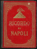 Cca 1900 Ricordo Di Napoli, Leporelló Könyvecske Számos Képpel, Elváló Félvászon Kötésben - Unclassified