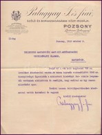 1913 Palugyai Szőlő és Borgazdaság Pozsony Fejléces Számla - Non Classificati