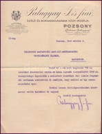 1913 Palugyai Szőlő és Borgazdaság Pozsony Fejléces Számla - Ohne Zuordnung