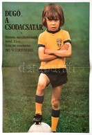 1977 Dugó, A Csodacsatár, Svéd Film Plakát, Hajtott, 57x39,5 Cm - Sonstige & Ohne Zuordnung