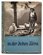 Saysse-Tobiczyk, Kazimierz: In Der Hohen Tatra. Warschau, Polonia-Verlag. Kiadói Egészvászon Kötés, Sérült Papír Védőbor - Non Classés