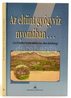 Back Frigyes: Az Eltűnt Gyógyvíz Nyomában. Bp., é. N., Hygieia. Kartonált Papírkötésben, Jó állapotban. - Unclassified