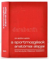 Dr. Miltényi Márta: A Sportmozgások Anatómiai Alapjai. Bp.,1980, Sport. Kiadói Egészvászon-kötés, Jó állapotban. - Sin Clasificación