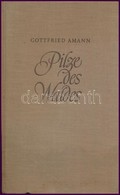 Dr. Gottfried Amann: Pilze Des Waldes. Radebeul-Berlin, én., Neumann. Német Nyelven. Színes Táblákkal. Kiadói Egészvászo - Non Classés