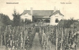 T2/T3 Balatonalmádi, Terike Nyaraló, Villa, Szőlő. Özv. Pethe Viktorné Kiadása (EK) - Unclassified