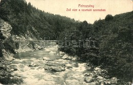 T2/T3 1915 Petrozsény, Petrosani; Zsil Vize A Szurduki Szorosban. W. L. Bp. 1697. / Pasul Surduc, Jiu Riverbank (EK) - Sin Clasificación