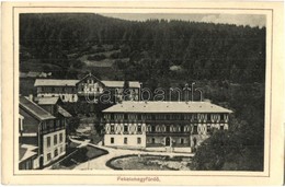 T2/T3 1909 Feketehegyfürdő, Merény, Nálepkovo; Thököly Ház. Kiadja Lomniczy V. / Villa, Spa (EK) - Non Classificati
