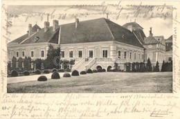 T2/T3 1906 Nagylévárd, Velké Leváre; Gróf Wenckheim Kastély / Castle (EK) - Non Classés
