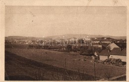 * T2/T3 Ungvár, Uzshorod, Uzhorod; Látkép. Kiadja Vetesnik / General View (EK) - Non Classificati