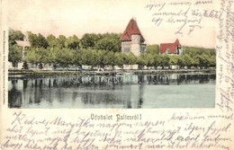 T2 1912 Palics, Palic (Szabadka, Subotica); Fürdő, Nyaraló. Kiadja Heumann Mór / Spa, Villa - Non Classés